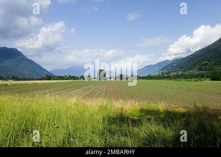 Tenero, Schweiz - 28. Mai 2018: Verschiedene Aktivitäten des Sportzentrums. Stockfoto