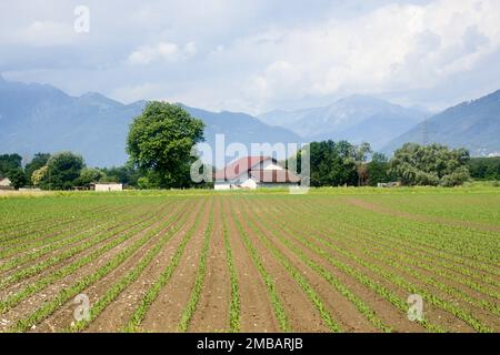 Tenero, Schweiz - 28. Mai 2018: Verschiedene Aktivitäten des Sportzentrums. Stockfoto