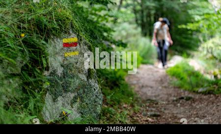 Eine Nahaufnahme bemalter Linien auf einem Felsen, die einen Wanderweg in den French Mountains darstellen Stockfoto