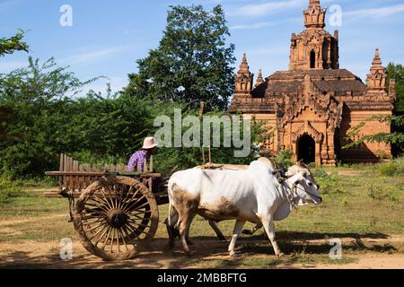 Altes Bagan ( Bagan ပုဂံ ) Myanmar Stockfoto