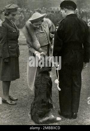 "Lebewohl Zum Zivilschutz", 10. Juni 1945 (1947). Stand-down-Parade der Zivilverteidigungskräfte, Hyde Park, London, Ende des Zweiten Weltkriegs. Prinzessin Elizabeth (zukünftige Königin Elizabeth II.) und ihre Mutter, die Königin, bewundern Peter, ein Mitglied der Hunderettungstruppen. Von "Prinzessin Elizabeth: The Illustrated Story of 21 years in the Life of the Thron Presumptive" von Dermot Morrah. [Odhams Press Limited, London, 1947] Stockfoto