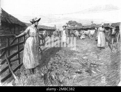 "Tess of the D'Urbervilles", von Thomas Hardy; "Tess in Dairyman Dick's Yard", 1891. Aus „The Graphic. An Illustrated Weekly Newspaper“, Band 44. Juli bis Dezember 1891. Stockfoto