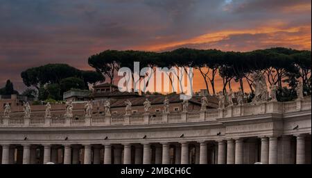 Sonnenuntergang über Regenschirmkiefern in der Vatikanstadt, Rom, Italien. Stockfoto