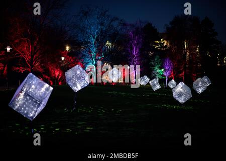 Essen, Deutschland. 20. Januar 2023. Würfel mit Discobällen stehen auf einem Rasen im Grugapark. Der Grugapark in Essen wird in den kommenden Wochen in fantasievollem Licht erstrahlen. Vom 21. Januar 2023 bis zum 26. Februar 2023 werden die Parklichter vom Lichtkünstler Flammersfeld installiert. Mit LEDs und Beamern wird der Grugapark zu einem Meer aus Lichtern. Kredit: Fabian Strauch/dpa/Alamy Live News Stockfoto