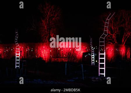 Essen, Deutschland. 20. Januar 2023. Die Anlagen stehen beleuchtet auf einer Wiese im Grügapark. Der Grugapark in Essen wird in den kommenden Wochen in ein fantasievolles Licht getaucht. Vom 21. Januar 2023 bis zum 26. Februar 2023 werden die Parklichter vom Lichtkünstler Flammersfeld installiert. Mit LEDs und Beamern wird der Grugapark zu einem Meer aus Lichtern. Kredit: Fabian Strauch/dpa/Alamy Live News Stockfoto