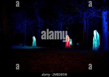 Essen, Deutschland. 20. Januar 2023. Die Figuren stehen beleuchtet auf einem Rasen im Grugapark. Der Grugapark in Essen wird in den kommenden Wochen in ein fantasievolles Licht getaucht. Vom 21. Januar 2023 bis zum 26. Februar 2023 werden die Parklichter vom Lichtkünstler Flammersfeld installiert. Mit LEDs und Beamern wird der Grugapark zu einem Meer aus Lichtern. Kredit: Fabian Strauch/dpa/Alamy Live News Stockfoto