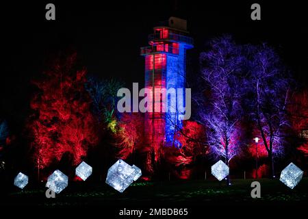 Essen, Deutschland. 20. Januar 2023. Würfel mit Discobällen stehen auf einem Rasen im Grugapark. Der Grugapark in Essen wird in den kommenden Wochen in fantasievollem Licht erstrahlen. Vom 21. Januar 2023 bis zum 26. Februar 2023 werden die Parklichter vom Lichtkünstler Flammersfeld installiert. Mit LEDs und Beamern wird der Grugapark zu einem Meer aus Lichtern. Kredit: Fabian Strauch/dpa/Alamy Live News Stockfoto