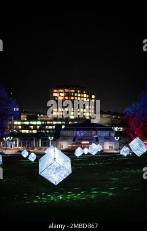 Essen, Deutschland. 20. Januar 2023. Würfel mit Discobällen stehen auf einem Rasen im Grugapark. Der Grugapark in Essen wird in den kommenden Wochen in fantasievollem Licht erstrahlen. Vom 21. Januar 2023 bis zum 26. Februar 2023 werden die Parklichter vom Lichtkünstler Flammersfeld installiert. Mit LEDs und Beamern wird der Grugapark zu einem Meer aus Lichtern. Kredit: Fabian Strauch/dpa/Alamy Live News Stockfoto