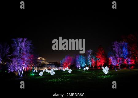 Essen, Deutschland. 20. Januar 2023. Würfel mit Discobällen stehen auf einem Rasen im Grugapark. Der Grugapark in Essen wird in den kommenden Wochen in fantasievollem Licht erstrahlen. Vom 21. Januar 2023 bis zum 26. Februar 2023 werden die Parklichter vom Lichtkünstler Flammersfeld installiert. Mit LEDs und Beamern wird der Grugapark zu einem Meer aus Lichtern. Kredit: Fabian Strauch/dpa/Alamy Live News Stockfoto