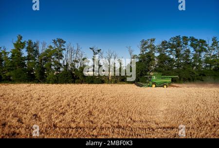 John Deere Erntemaschine arbeitet auf dem Feld. Mähdrescher Für Die Weizenernte. Getreidefeld während der Ernte. Moderne Ausrüstung funktioniert. 07.07.22, Rostow Stockfoto