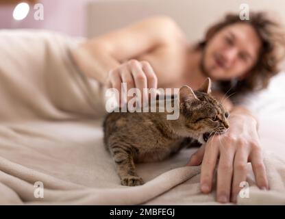 Süßer, kleiner, katzengebissener Besitzer auf dem Bett Stockfoto