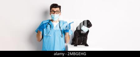 Kleine schwarze Mops Hund in medizinische Maske Blick links auf Kopie Raum, während in der Nähe von Arzt Tierarzt in der Tierklinik sitzen, auf weißem Hintergrund stehen Stockfoto