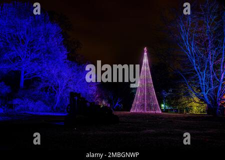 Weihnachten im Kew 2022 - Lichter schmücken die königlichen botanischen Gärten Stockfoto