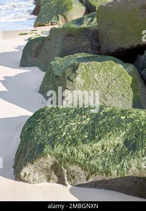 Moos bedeckte Strand Felsen auf Sand an einem sonnigen Tag. Stockfoto