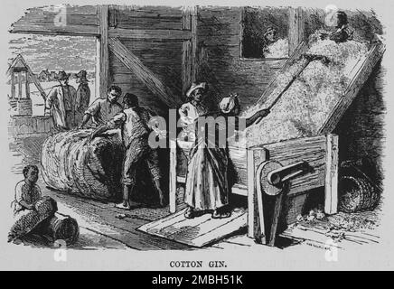 Baumwollgin, 1882. Stockfoto