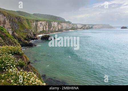 Ein Blick von Carrick-a-Rede an der Causeway Coast mit Blick auf die spektakulären Klippen in Richtung Ballintoy, Nordirland Stockfoto