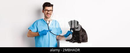 Schöner Tierarzt am Tierarzt Klinik Prüfung niedlichen schwarzen Mops Hund, Zeigefinger auf Haustier während Check-up mit Stethoskop, weißer Hintergrund Stockfoto