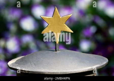 goldener Stern auf einem Grab mit bunten Frühlingsblumen auf verschwommenem Hintergrund Stockfoto