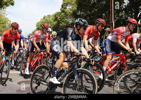 Teilnehmer an Stage 3 der 2023 Tour Down Under in Adelaide, Australien Stockfoto