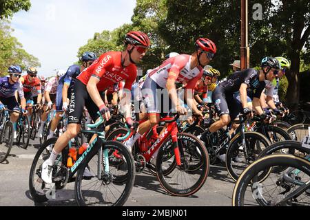 Teilnehmer an Stage 3 der 2023 Tour Down Under in Adelaide, Australien Stockfoto