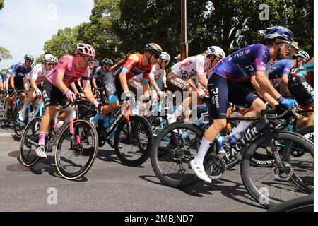 Teilnehmer an Stage 3 der 2023 Tour Down Under in Adelaide, Australien Stockfoto