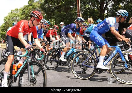 Teilnehmer an Stage 3 der 2023 Tour Down Under in Adelaide, Australien Stockfoto
