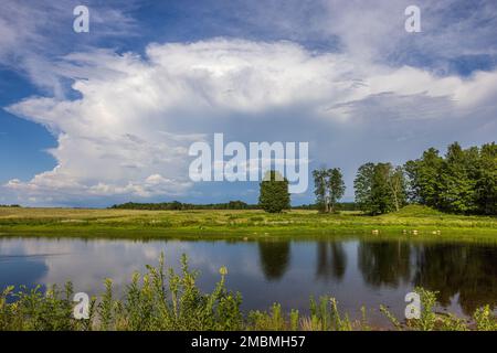 Dramatische Wolken über einem Bauernfeld im Norden von Wisconsin. Stockfoto