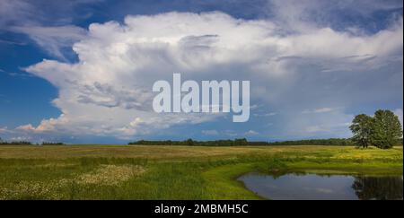 Dramatische Wolken über einem Bauernfeld im Norden von Wisconsin. Stockfoto