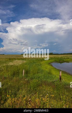 Dramatische Wolken über einem Bauernfeld im Norden von Wisconsin. Stockfoto
