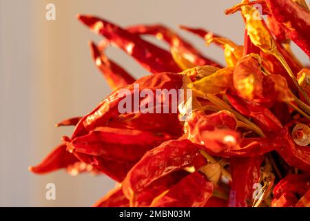 Ein Haufen roher roher, biologischer Childe Arbol-Paprika, die im Sonnenlicht trocknen und Chilipulver herstellen, Nahaufnahme. Seitenansicht vieler heißer, würziger Gemüsetextur. Stockfoto