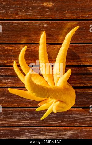 Reife gelbe Buddhas Handzitrone, Draufsicht. Nahaufnahme von frischer Zitrone auf Holztisch, Tageslicht. Citrus sarcodactylis oder die gezinkte Zitronenfrucht. Stockfoto