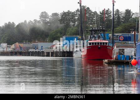 Das ist ein Foto der Newport Docks. An diesem Tag legten viele bunte Schiffe an. Stockfoto