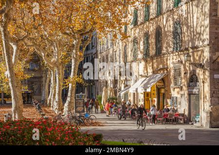 Cafe culture on an autumnal afternoon in Piazza Napoleone, Lucca, Tuscany, Italy. Stockfoto