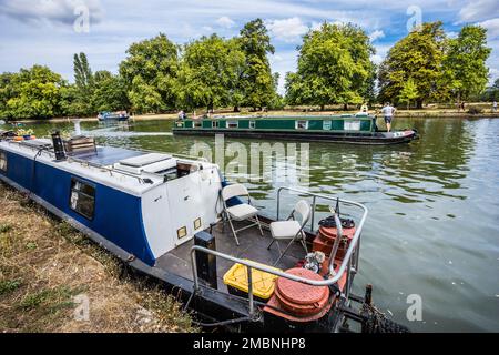 Schmalboote auf der Themse am Christ Church Meadow Walk, Oxford, Oxfordshire, Südostengland Stockfoto