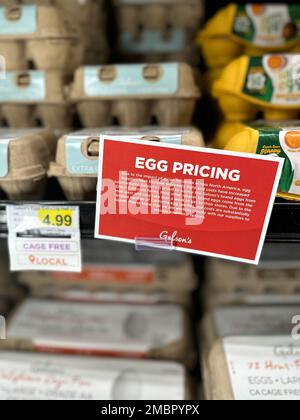 Santa Barbara, Kalifornien, USA 20. Januar 2023. Das Schild „Cage Free Eggs“ bei Gelson zeigt einen Preis von $7,99 für ein Dutzend Eier. Der exorbitante Preis von Eiern in den USA hat dazu geführt, dass die Käufer in Kalifornien nach bezahlbaren Alternativen suchen und dass die Ladeninhaber neue Marketingpläne ausbrüten, um Aufschläge von 50 % bis 100 % zu rechtfertigen. Die überhöhten Preise sind teilweise auf einen Ausbruch der Vogelgrippe im Mittleren Westen zurückzuführen. (Kreditbild: © Amy Katz/ZUMA Press Wire) NUR REDAKTIONELLE VERWENDUNG! Nicht für den kommerziellen GEBRAUCH! Kredit: ZUMA Press, Inc./Alamy Live News Stockfoto