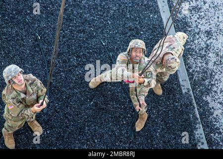 Kadetten fungieren als Bergsamme am Abseilturm in Fort Knox, Ky, Juni 20. Soldaten des 4. Bataillons, 399. Regiment, werden in diesem Sommer, beginnend Anfang Juni, Tausende von Kadetten des Reserve Officers Training Corps aus dem ganzen Land durch den Confidence/Barrile Course und Abseilturm in Fort Knox führen. Stockfoto