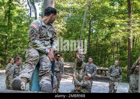 Kadetten überqueren das Stopp-, Schaukel- und Sprunghindernis auf dem Hindernisparcours in Fort Knox, Ky, Juni 20. Soldaten des 4. Bataillons, 399. Regiment, werden in diesem Sommer, beginnend Anfang Juni, Tausende von Kadetten des Reserve Officers Training Corps aus dem ganzen Land durch den Confidence/Barrile Course und Abseilturm in Fort Knox führen. Stockfoto