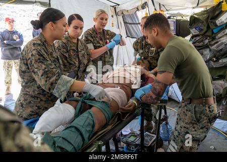 CAMP PENDLETON, Kalifornien (20. Juni 2022) Matrosen, die dem 1. Medizinischen Bataillon, der 1. Marine Logistics Group zugeteilt sind, führen vor Beginn der Behandlung im Rahmen der Operation Firebreak eine Patientenbeurteilung durch. Operation Firebreak umfasst die Patientenversorgung von der Verletzungsstelle bis hin zur Versorgung in Rolle I, Rolle II und Rolle III. Die Operation Firebreak ist Teil der Navy Reserve-Expeditionary Medical Facility (NR-EMF) Bethesdas Operational Readiness Evaluation (ORE). NR-EMF Bethesda besteht aus Reservisten aus dem ganzen Land, die zusammenkamen, um Schulungen abzuschließen, die eine integrierte Einarbeitung in die Ausrüstung beinhalten Stockfoto