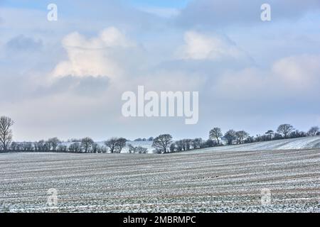 Winterzeit auf dem Land - Dänemark. Dänische Ackerland im Winter. Stockfoto