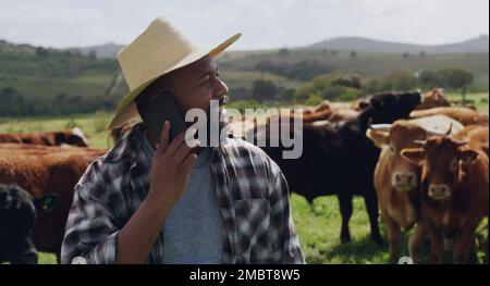 Mutter Natur machte den besten Geschäftspartner. Ein erwachsener Mann, der ein Smartphone benutzt, während er auf einer Kuhfarm arbeitet. Stockfoto