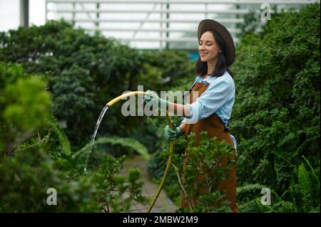 Junge Gärtnerin, die grüne Pflanzen aus dem Schlauch im Gewächshaus gießt Stockfoto