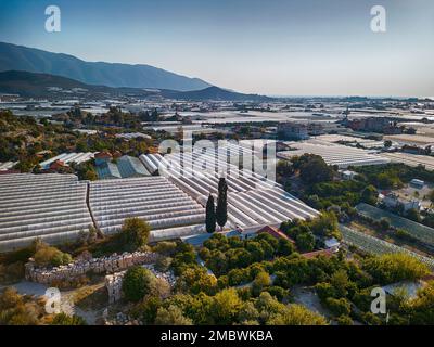 Aus der Vogelperspektive aus der Vogelperspektive: Gewächshausfelder der Grünplantage in Demre - Provinz Antalya, Türkei Stockfoto