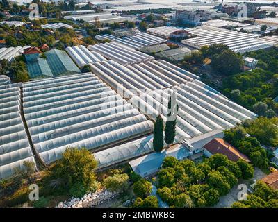 Aus der Vogelperspektive aus der Vogelperspektive: Gewächshausfelder der Grünplantage in Demre - Provinz Antalya, Türkei Stockfoto