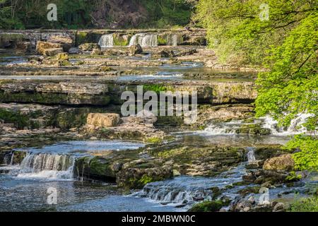 Aysgarth Falls, North Yorkshire, an einem wunderschönen sonnigen Frühlingstag. Stockfoto