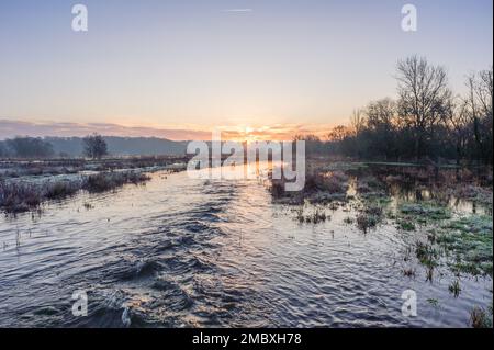 Burgate, Fordingbridge, Hampshire, England, Großbritannien, 21. Januar 2023, Wetter: Überschwemmungen und Frost bei Sonnenaufgang auf dem Fußweg des Avon-Tals durch Ackerland in Richtung New Forest. Die Route ist aufgrund des Hochwassers unpassierbar. Kredit: Paul Biggins/Alamy Live News Stockfoto