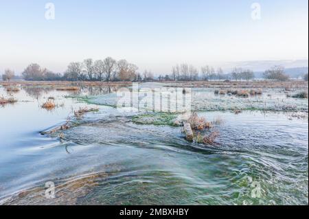 Burgate, Fordingbridge, Hampshire, England, Großbritannien, 21. Januar 2023, Wetter: Überschwemmungen und Frost bei Sonnenaufgang auf dem Fußweg des Avon-Tals durch Ackerland in Richtung New Forest. Die Route ist aufgrund des Hochwassers unpassierbar. Kredit: Paul Biggins/Alamy Live News Stockfoto