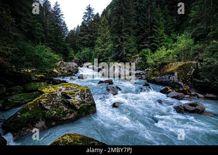 Der Adamello Brenta Naturpark in Trentino Alto Adige. Stockfoto