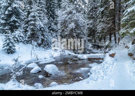 Verschneite Winterlandschaft mit einem wilden Bach. Der Nationalpark Mala Fatra in der Slowakei, Europa. Stockfoto