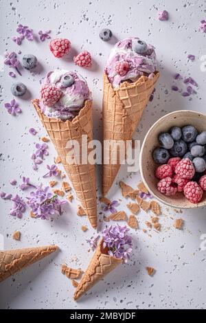 Kaltes Eissorbet aus Himbeeren und Blaubeeren. Heidelbeeren und Himbeeren Sorbet Eis. Stockfoto