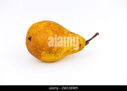Eine reife Williams Christ Birne, die vor weißem Hintergrund gekürzt und im Studio mit Fokus fotografiert wurde Stockfoto